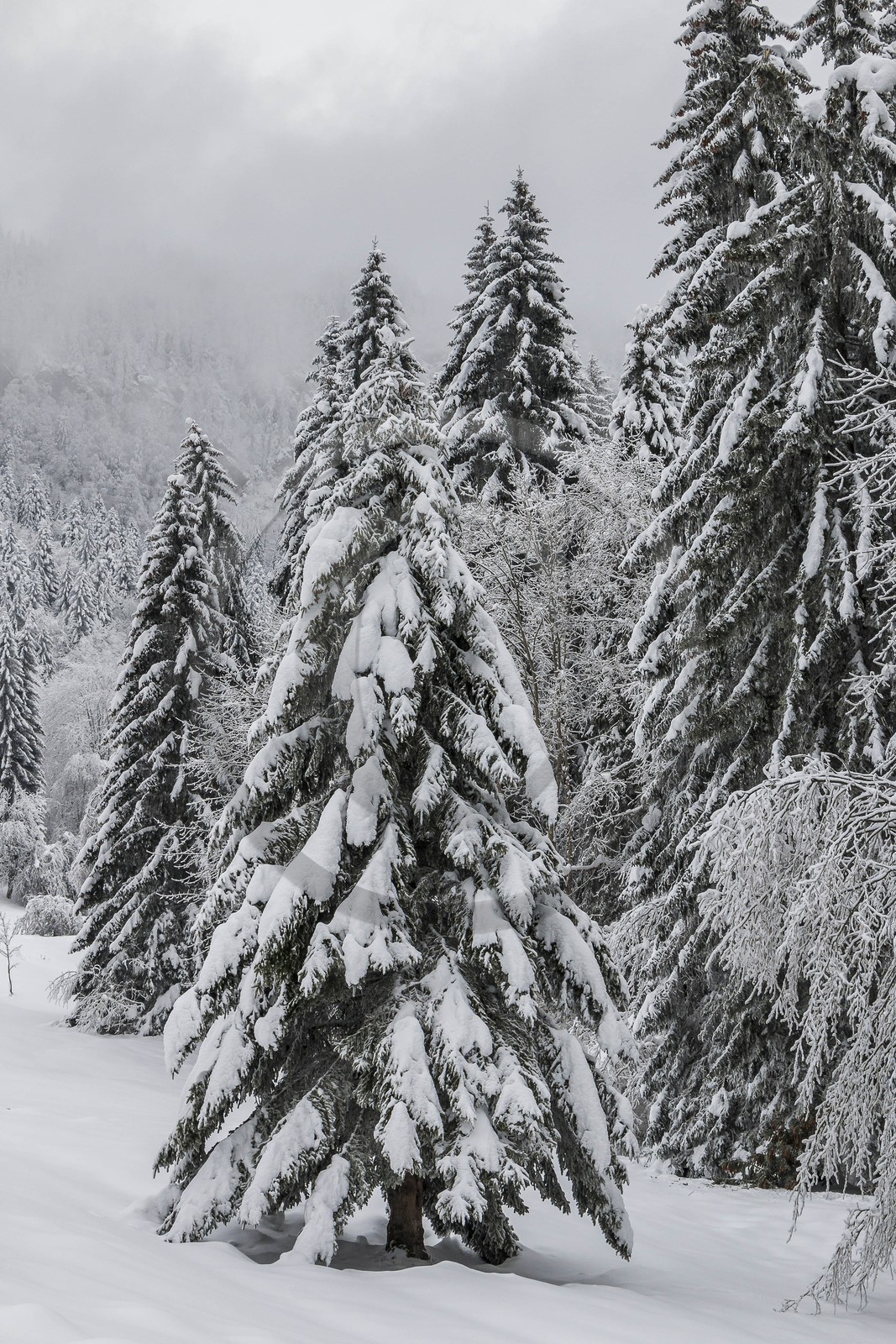 ENS de l'Isère, Les Ecouges