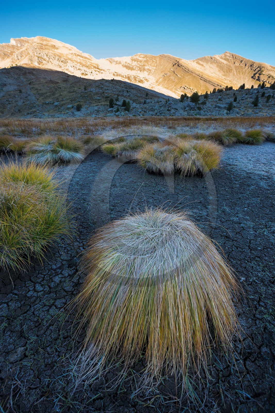 Vallon du Laverq, lac et tourbière Les Eaux-Tortes
