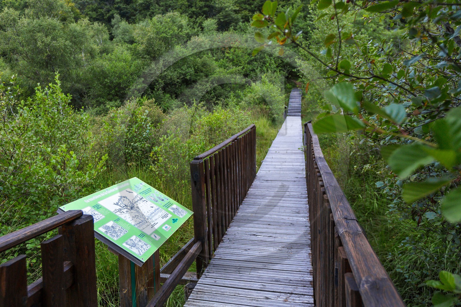 ENS de l'Isère, Tourbière des Planchettes
