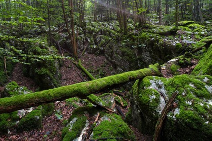 ENS de l'Isère, Les Ecouges