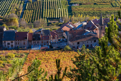 Remollon