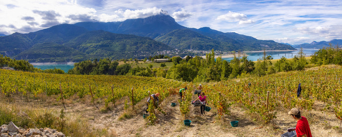 Domaine du Mont Guillaume