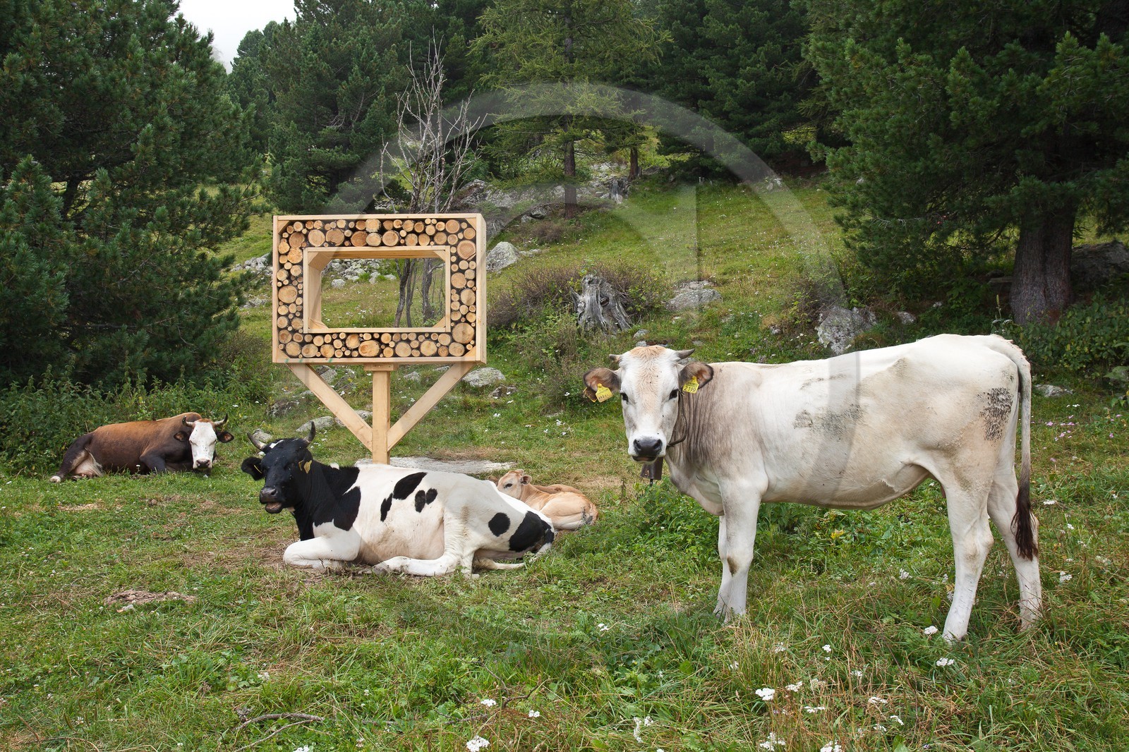 Sentiers Art et Nature Queyras et Val Varaita, Jean-François Marc