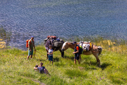 Trek famille avec animaux de bats