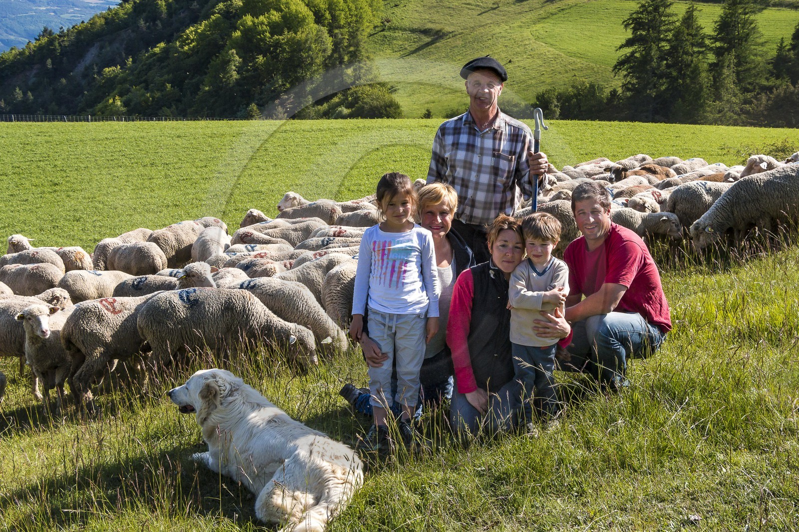 Ferme des Sonnailles, famille Pellissier