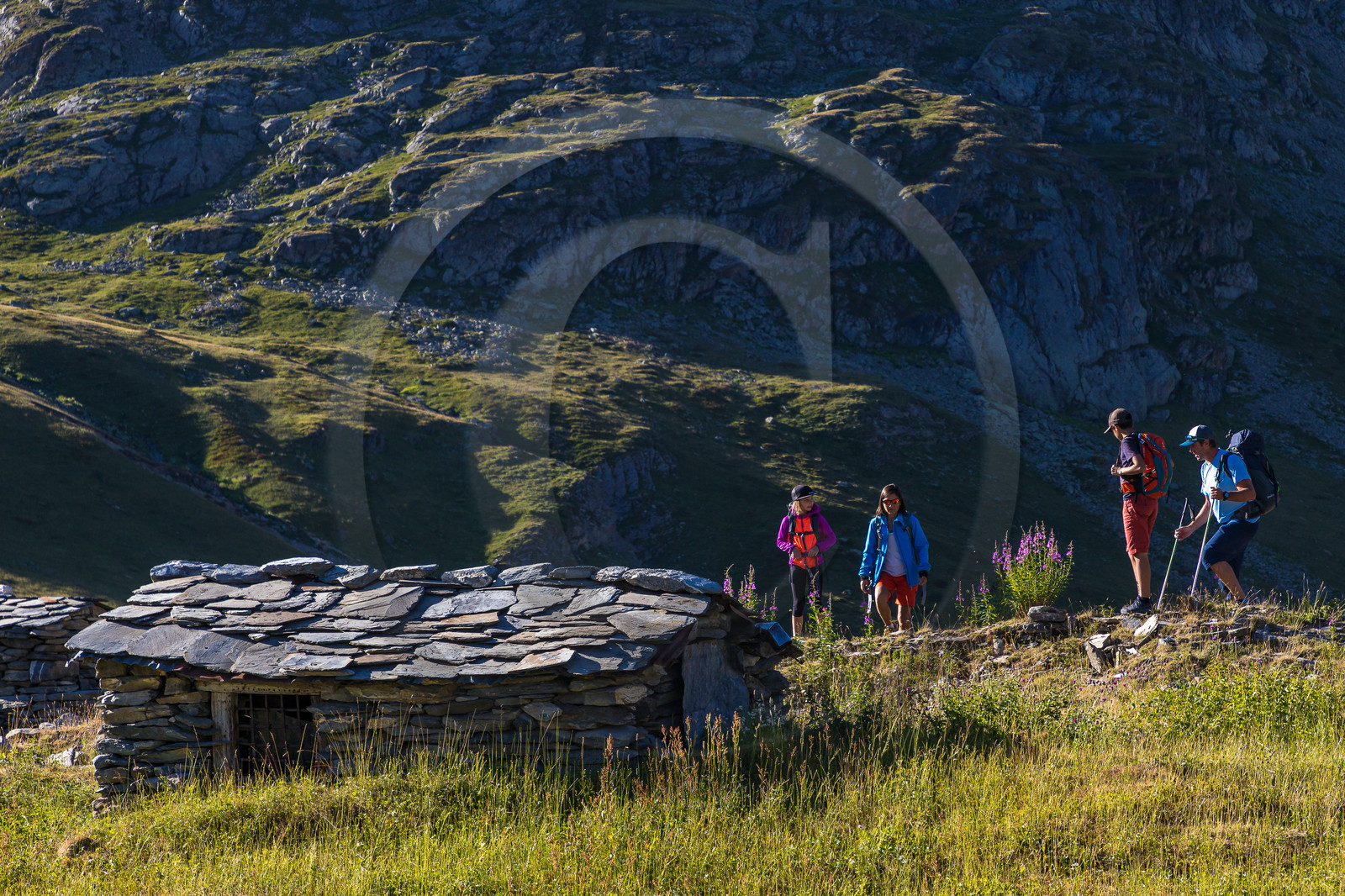 Plateau d'Emparis, randonnée pédestre
