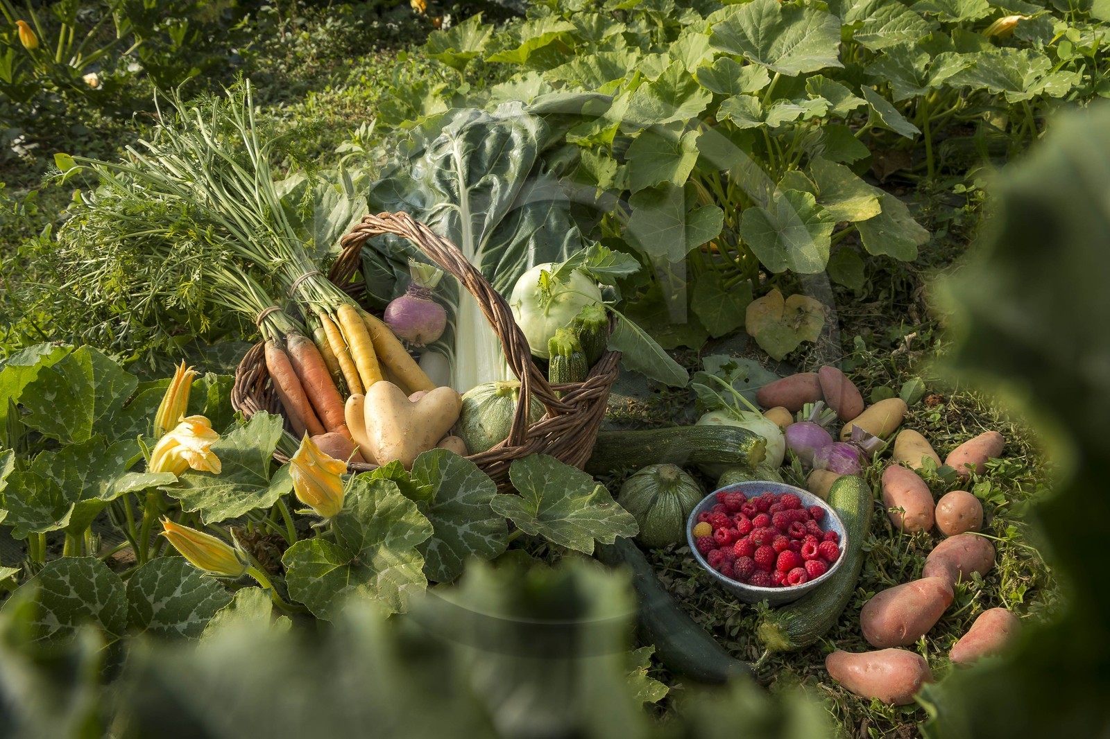 Vallée du Champsaur, Sophie Jaussaud et Stéphane Philippe