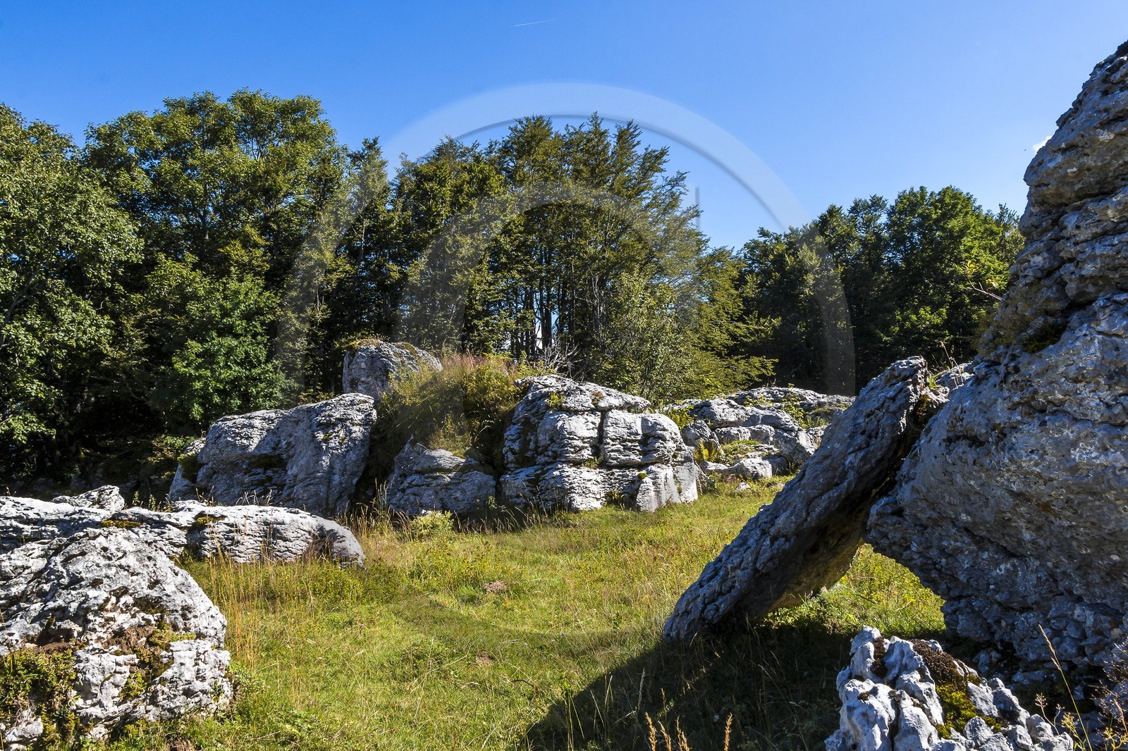 ENS de l'Isère, Plateau de la Molière et du Sornin, du plateau de Sornin