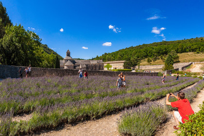 Gordes, Abbaye Notre-Dame de Sénanque