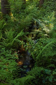 ENS de l'Isère, Marais des Seiglières