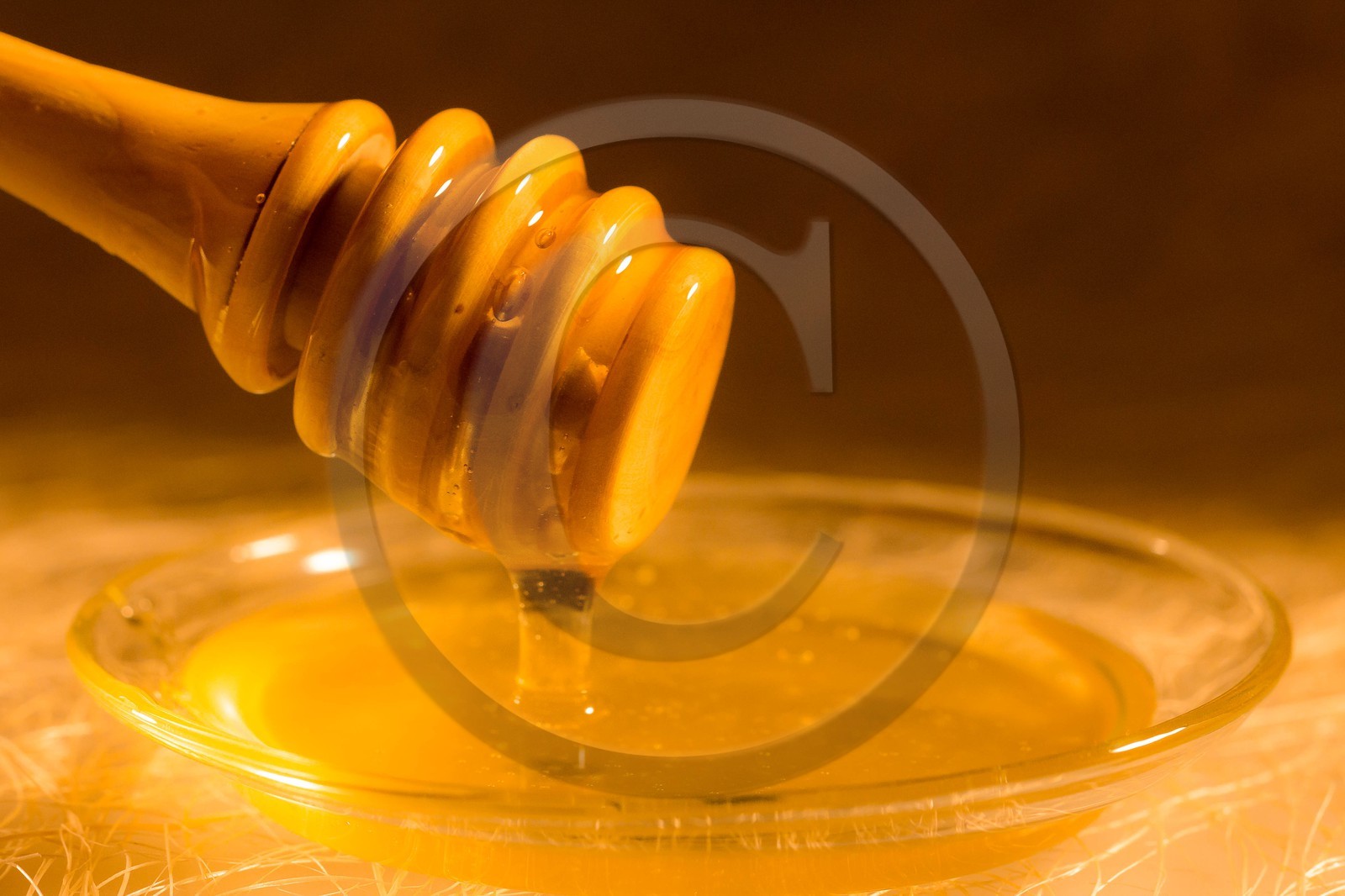 Vallée du Champsaur, miellerie Challet, Geoffrey Challet apiculteur