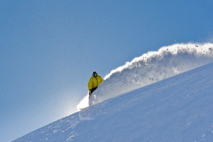 Surf des neige, Snowboard