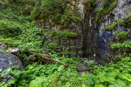 ENS de l'Isère, Plateau de la Molière et du Sornin, Le Puits aux Ecritures, gravures rupestres