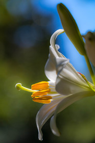 Jardin des Cinq Sens