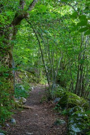 ENS de l'Isère,Tourbières du Peuil