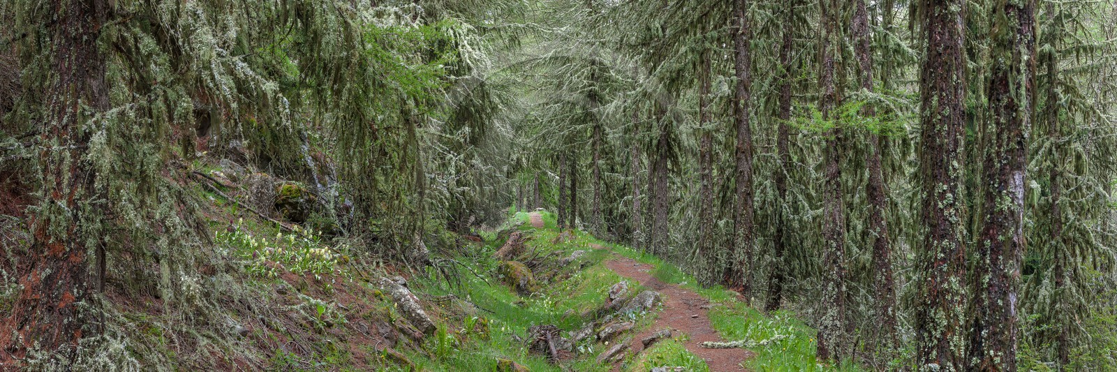 Vallée du Champsaur, sentier du Canal de Mal-Cros
