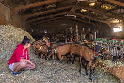 Gaec La Ferme des Ecrins