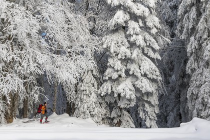 ENS de l'Isère, Les Ecouges
