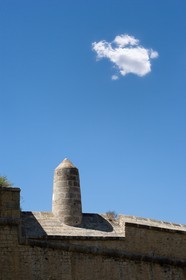 Briançon, demoiselle du rempart du Fort des Têtes