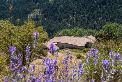 Les Monges, ferrme de Feissal