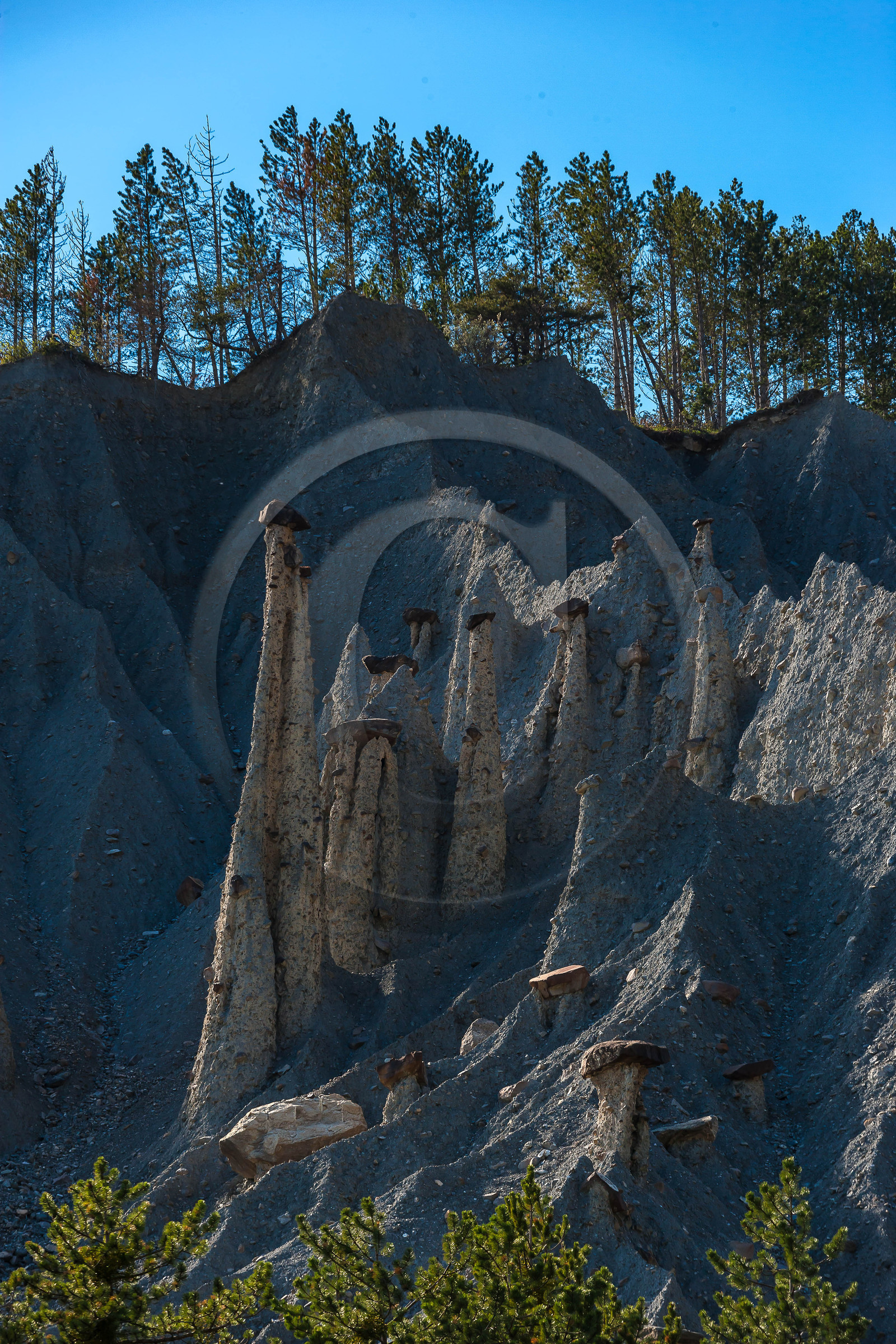 Salle de Bal des Demoiselles Coiffées
