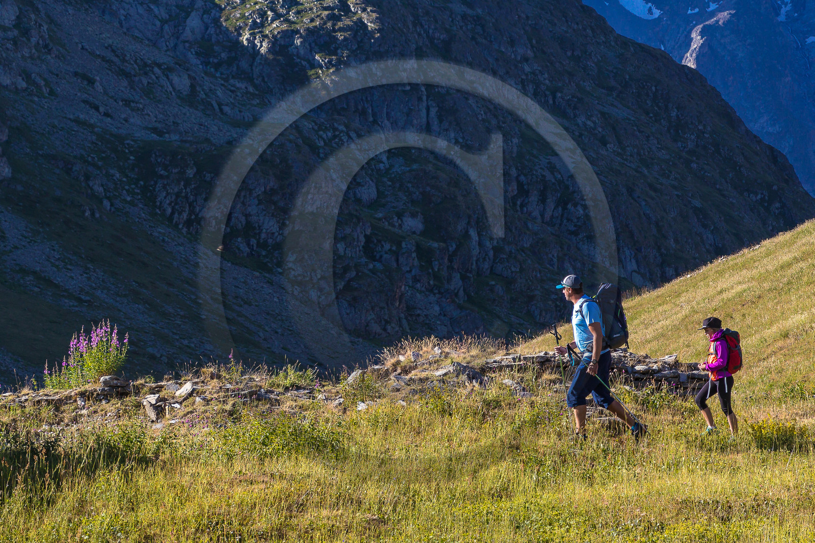 Plateau d'Emparis, randonnée pédestre