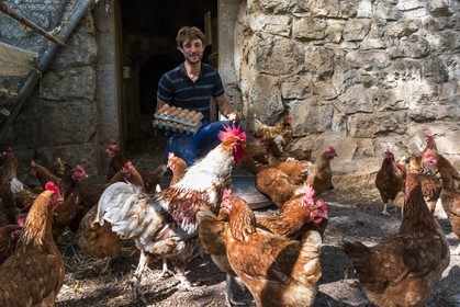 Entre Terre et Miel, Julien Ancel, apiculteur, agriculteur, maraichage