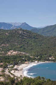 Favone