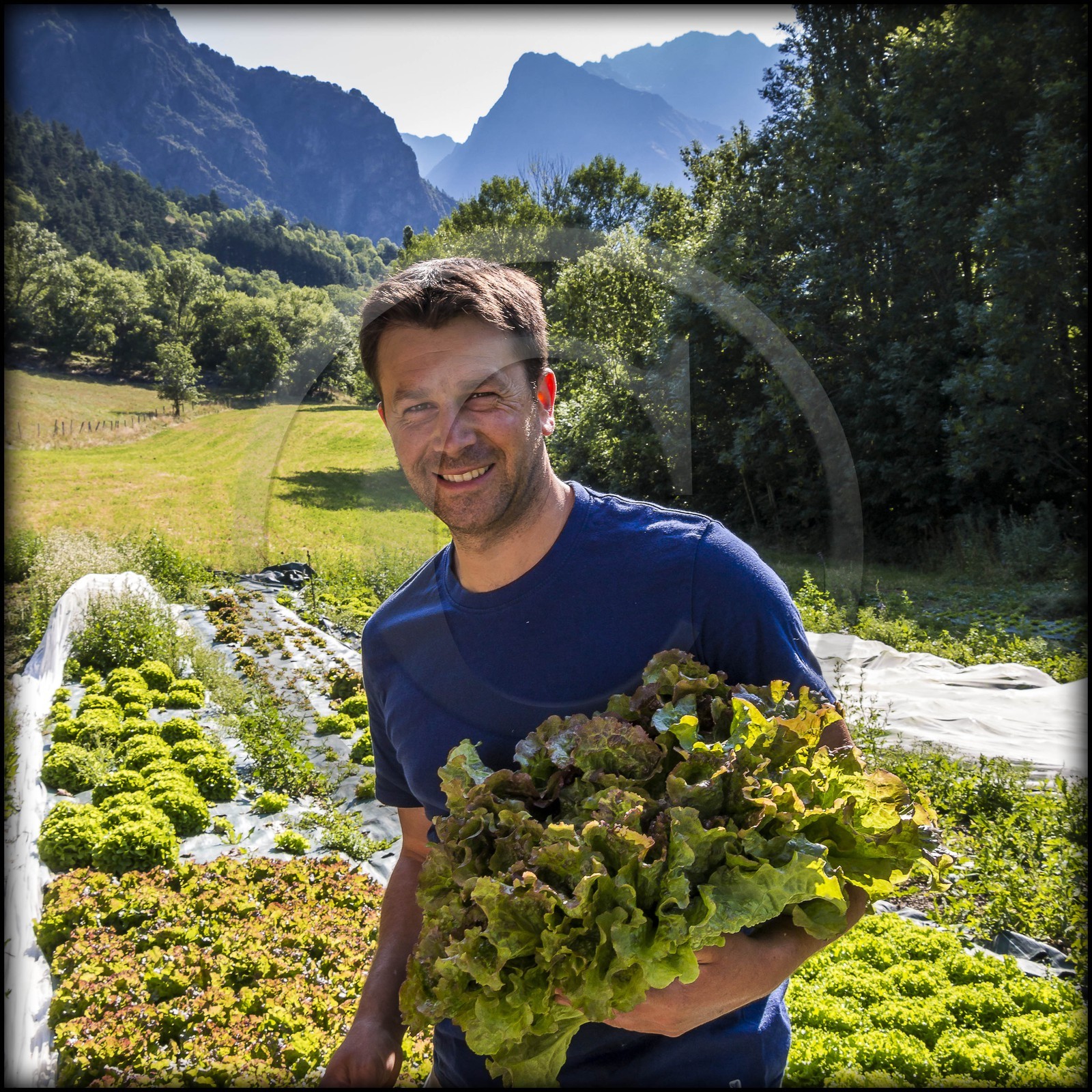 Vallée du Champsaur, Joubert Eric, maraîcher