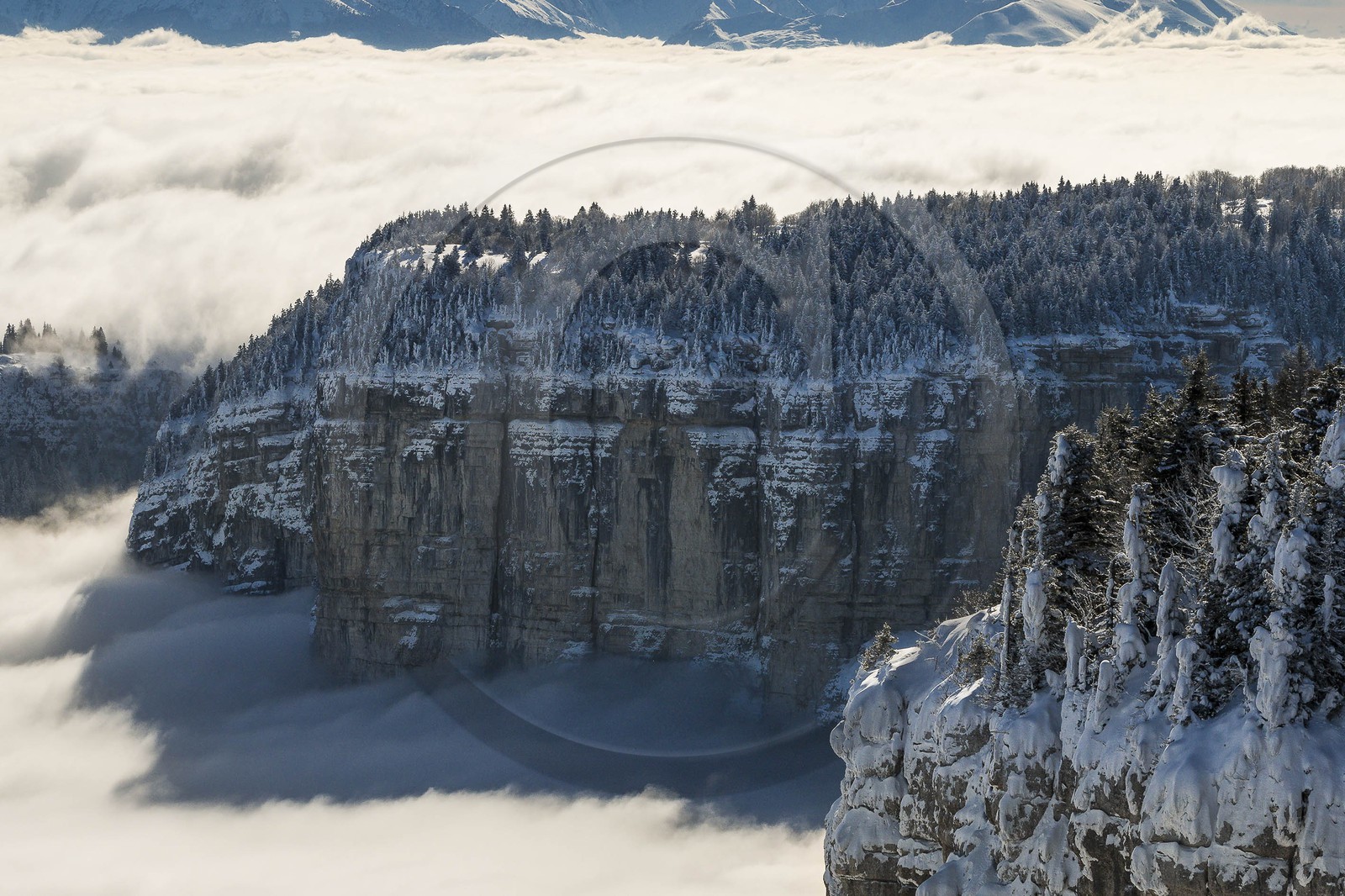 ENS de l'Isère, Plateau de la Molière et du Sornin