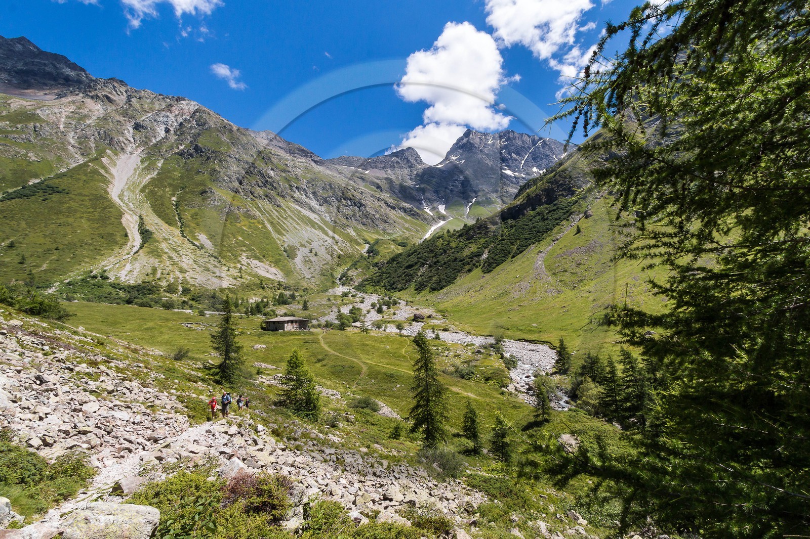 Vallée de Champoléon