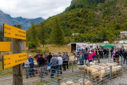 Vallée de Champoléon, Les Borels, foire au tardon