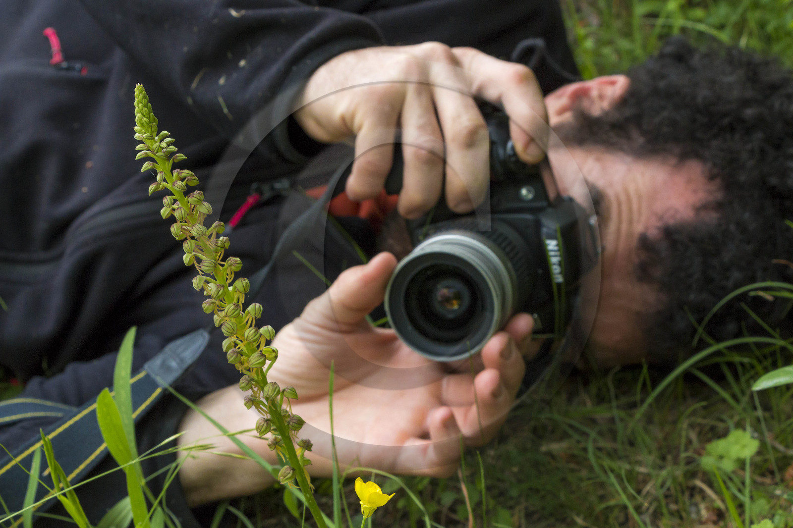 Terre Vivante, stage photo macro nature avec le photographe professionnel Bertrand Bodin