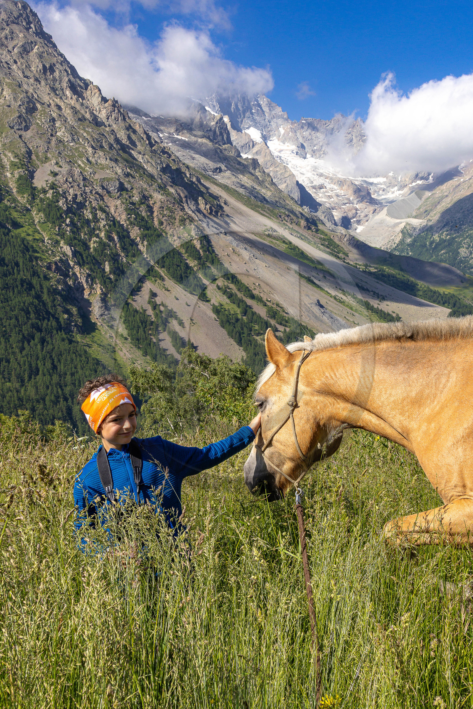 Trek famille avec animaux de bats