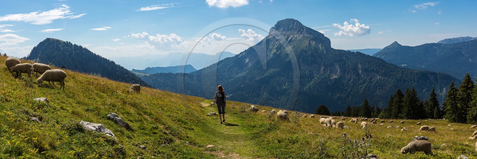Espace naturel sensible de l'Isère, Col du Coq