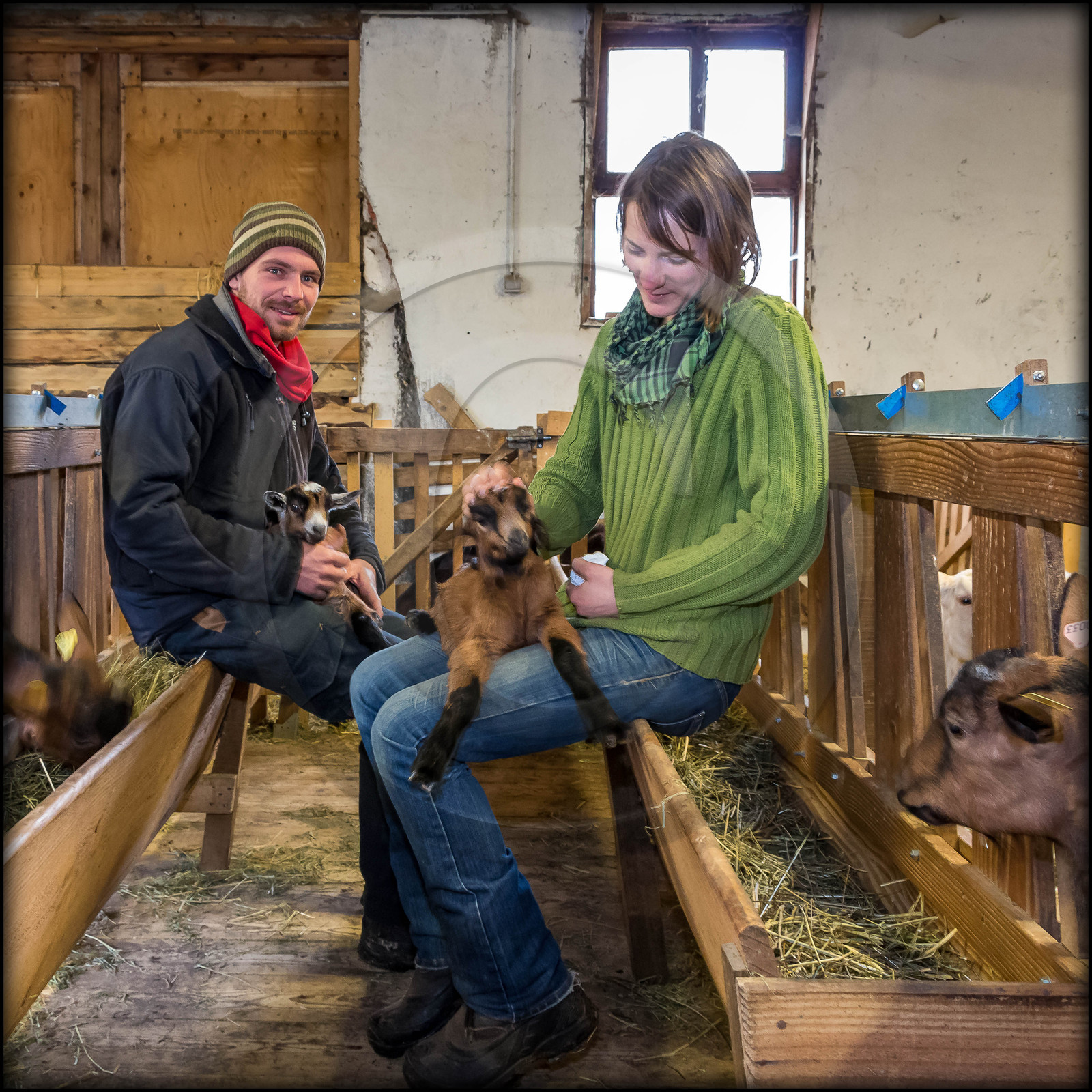 Arvieux, La Chèvrerie des Moulins