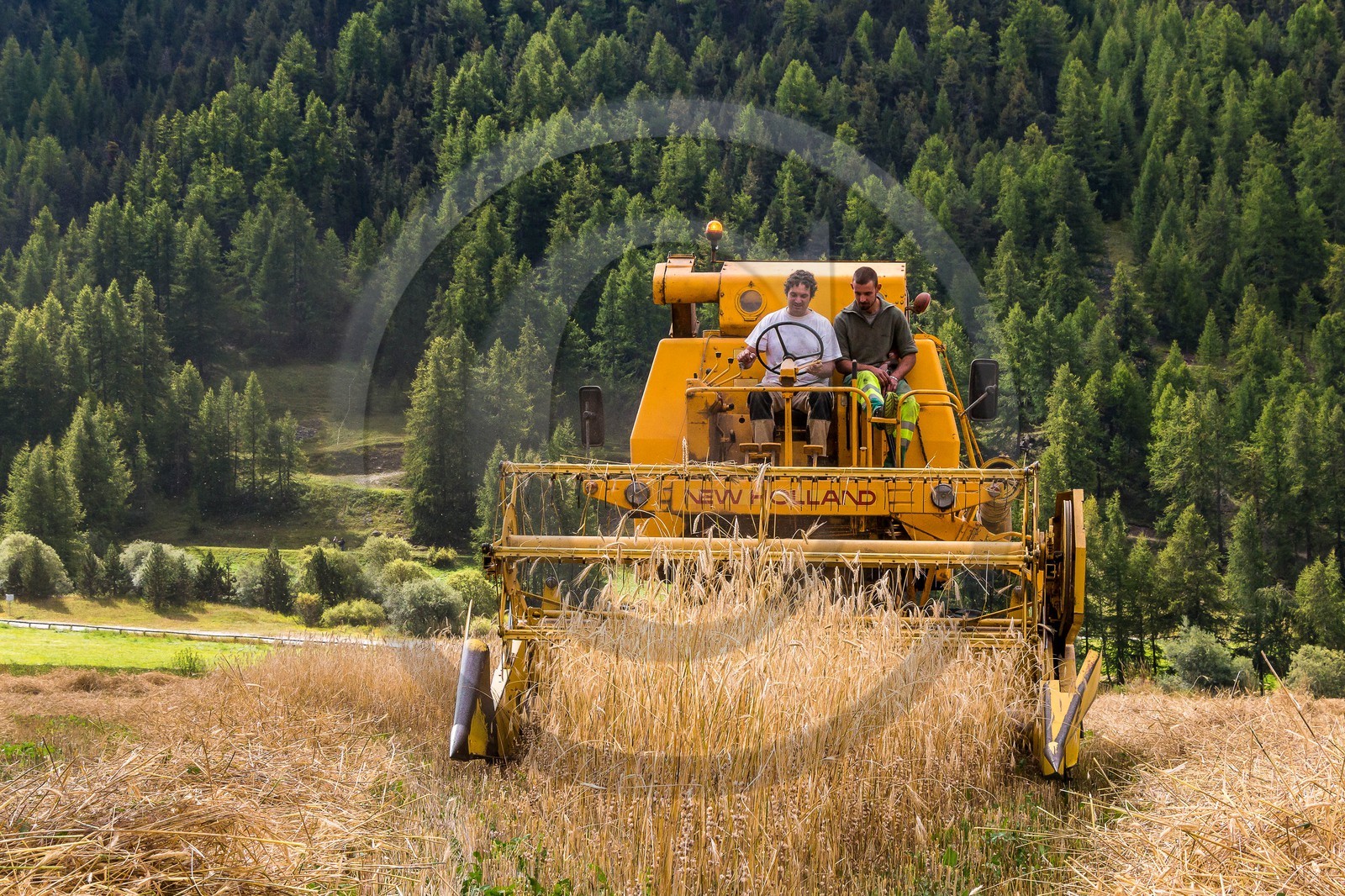 Ceillac, Christophe Gauthier, Exploitant agricole