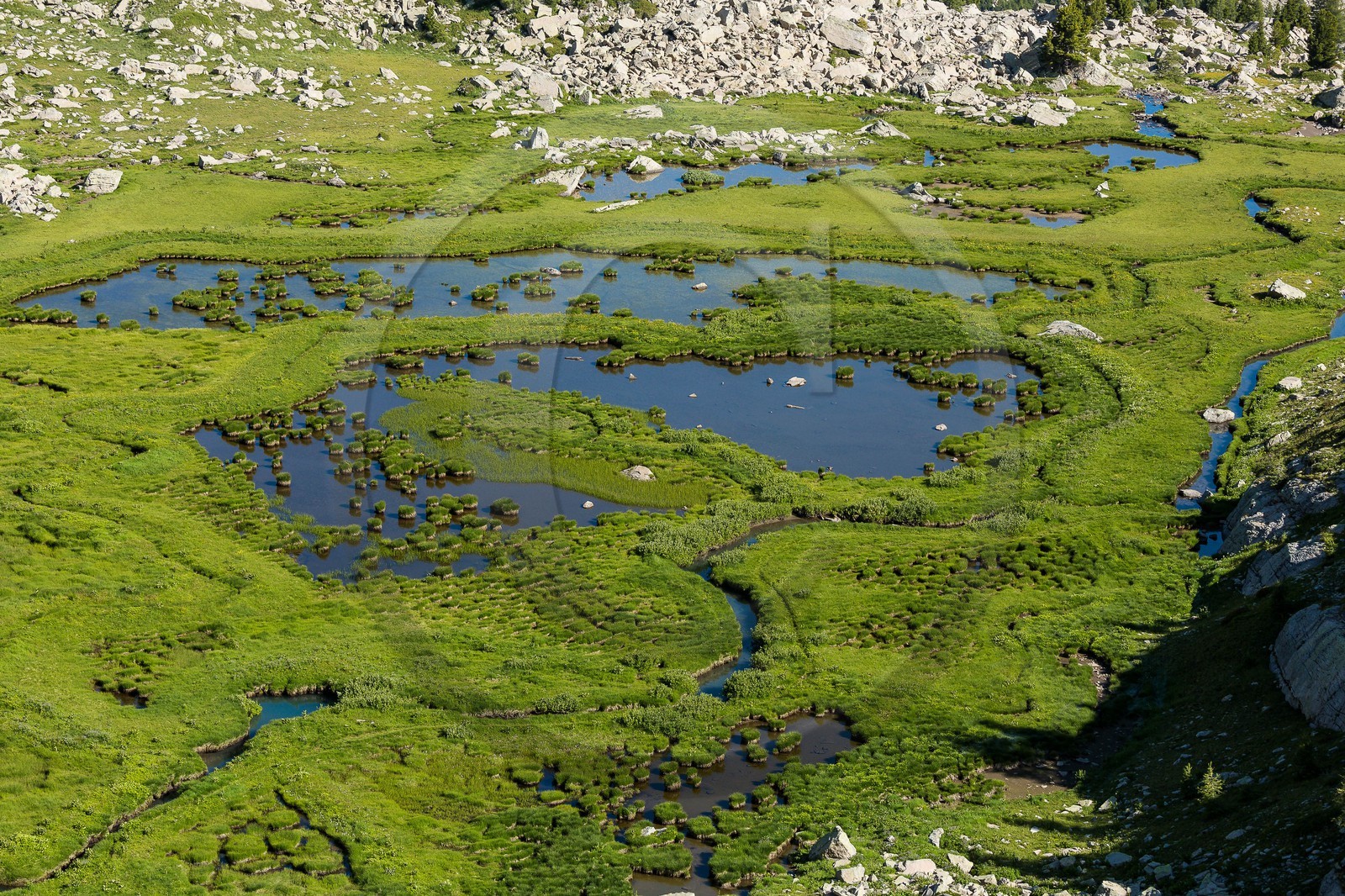 Vallon du Laverq, lac et tourbière Les Eaux-Tortes