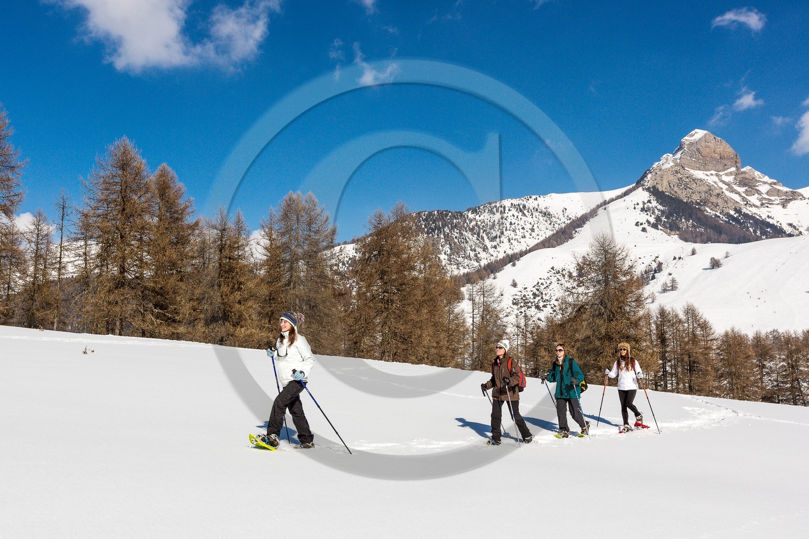 Ancelle, col de Moissière, randonnée à raquettes à neige