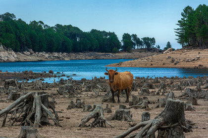 Lac de l'Ospedale