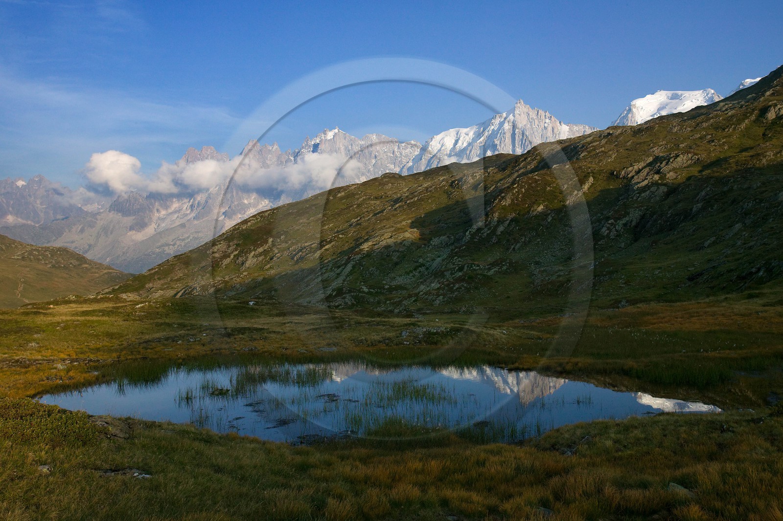 Réserve naturelle de Carlaveyron, col de Bellachat, tourbière, mare, gouille
