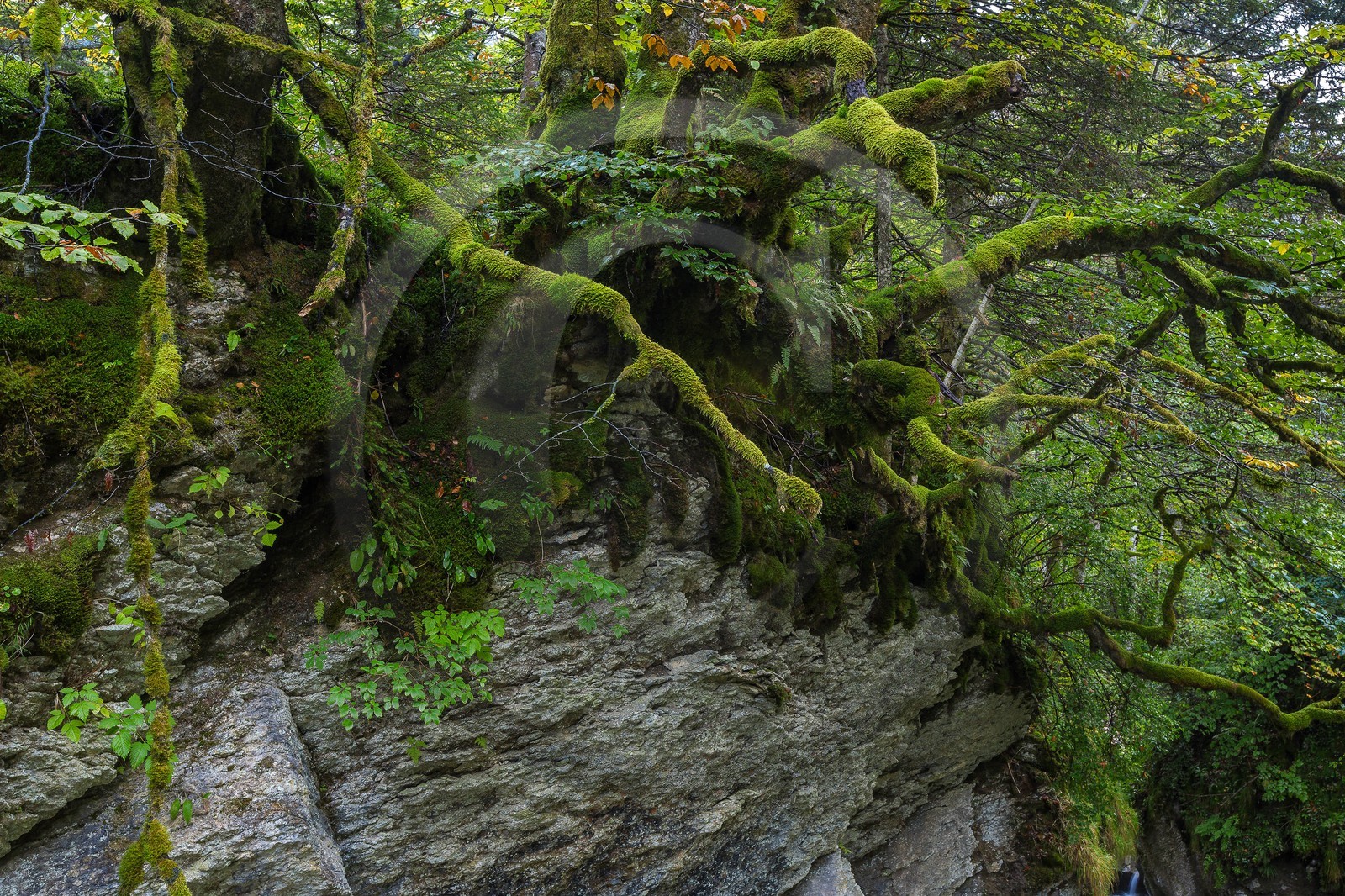 ENS de l'Isère, Les Ecouges