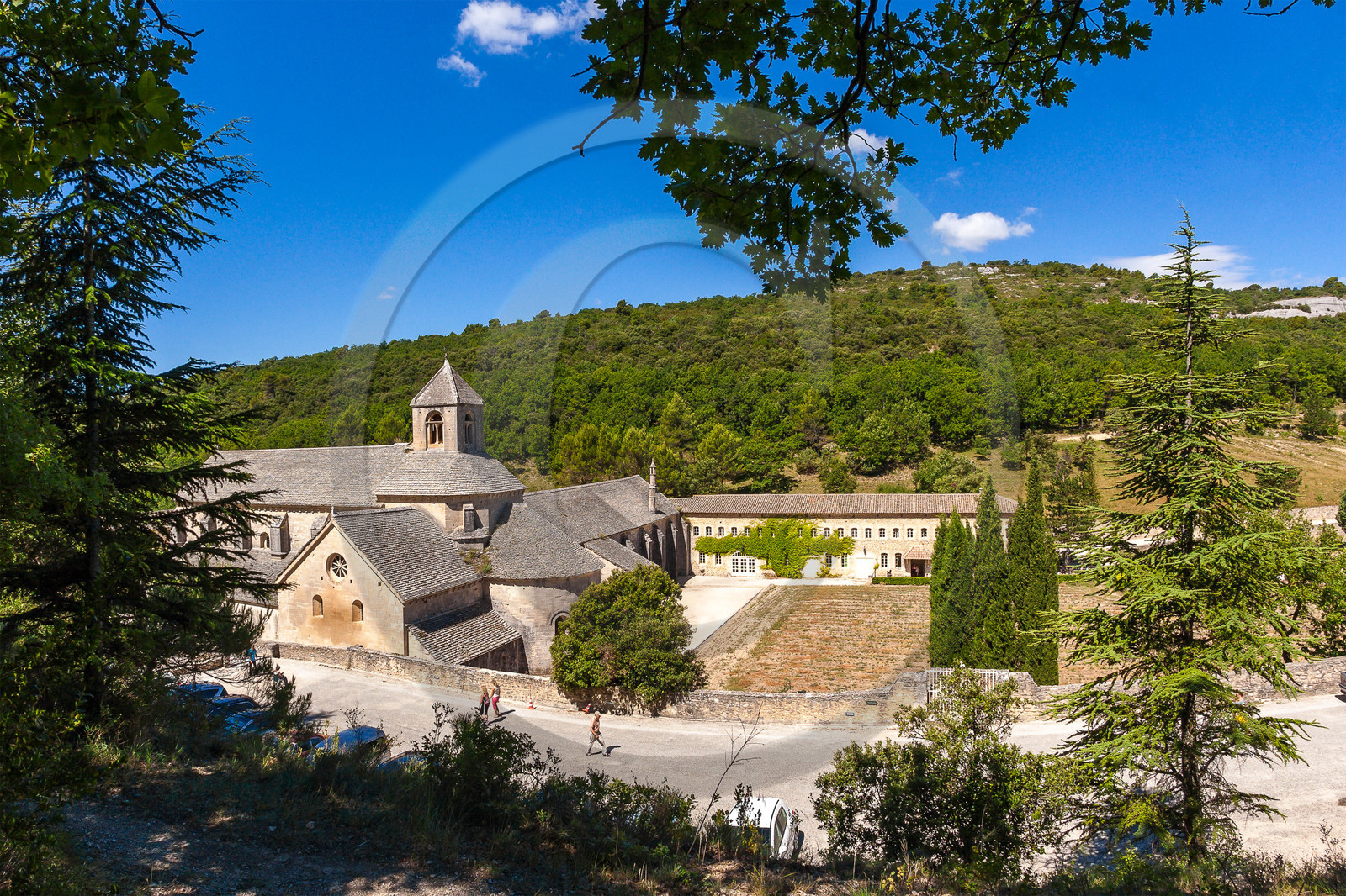 Gordes, Abbaye Notre-Dame de Sénanque