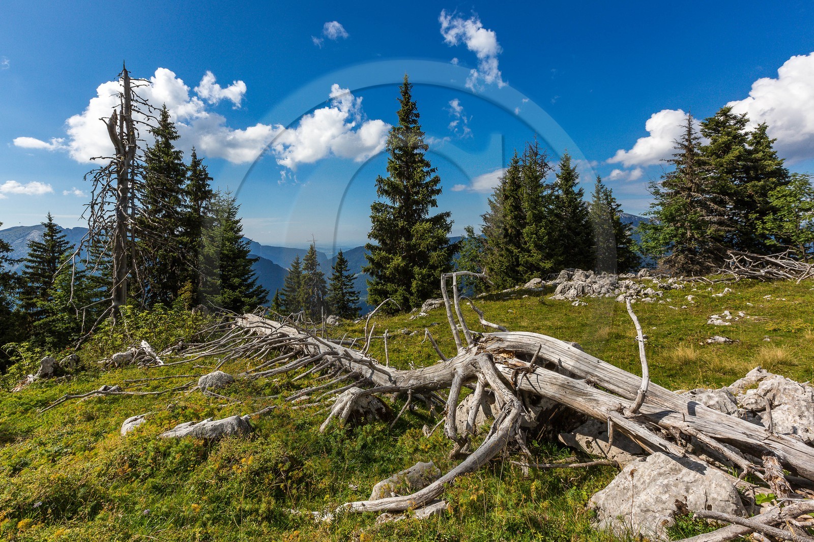 Espace naturel sensible de l'Isère, Col du Coq