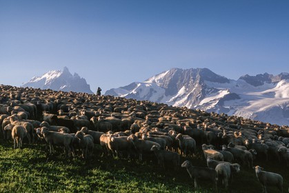 Alpage du plateau d'Emparis