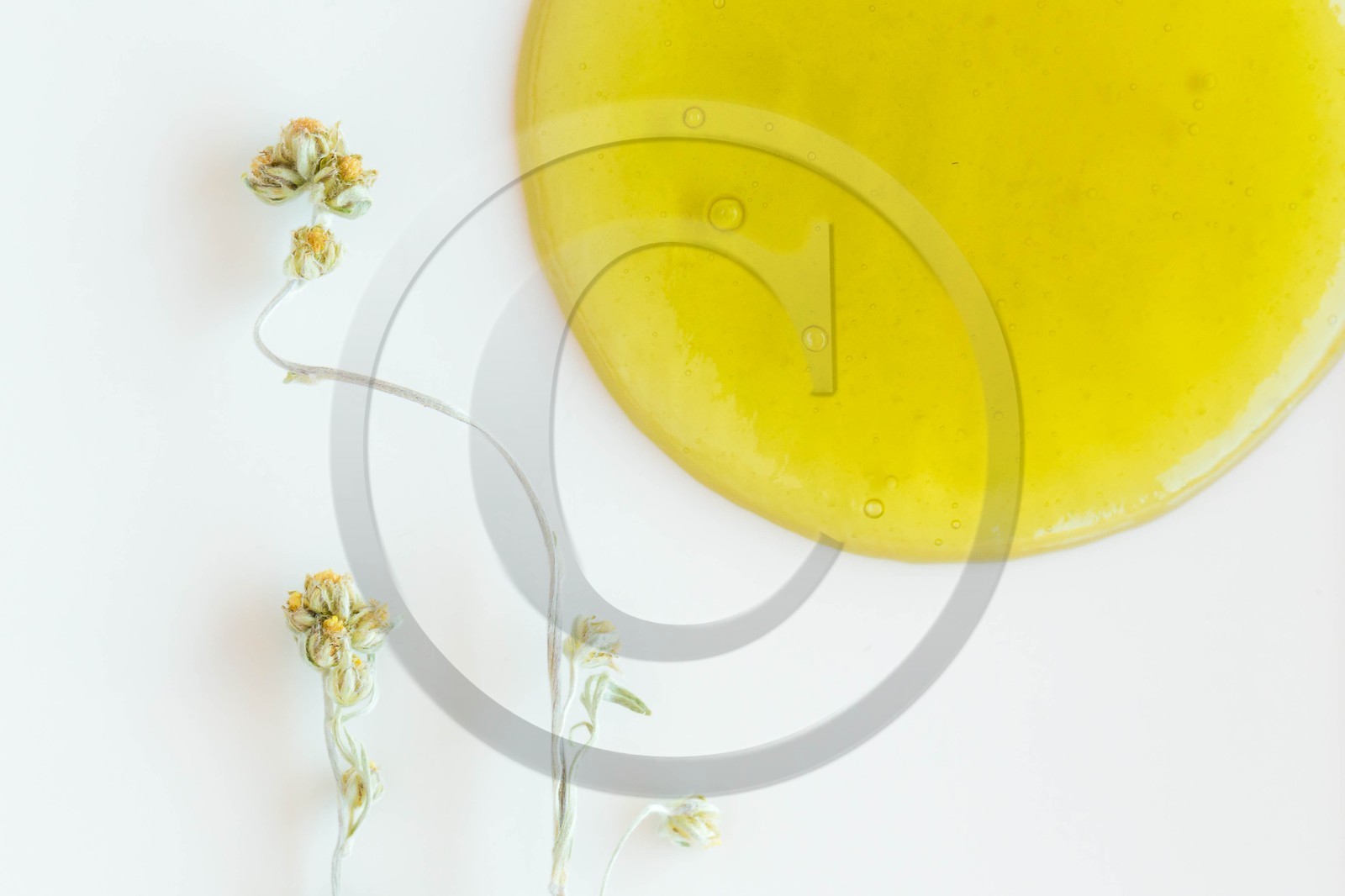 Délice de génépi, confiture