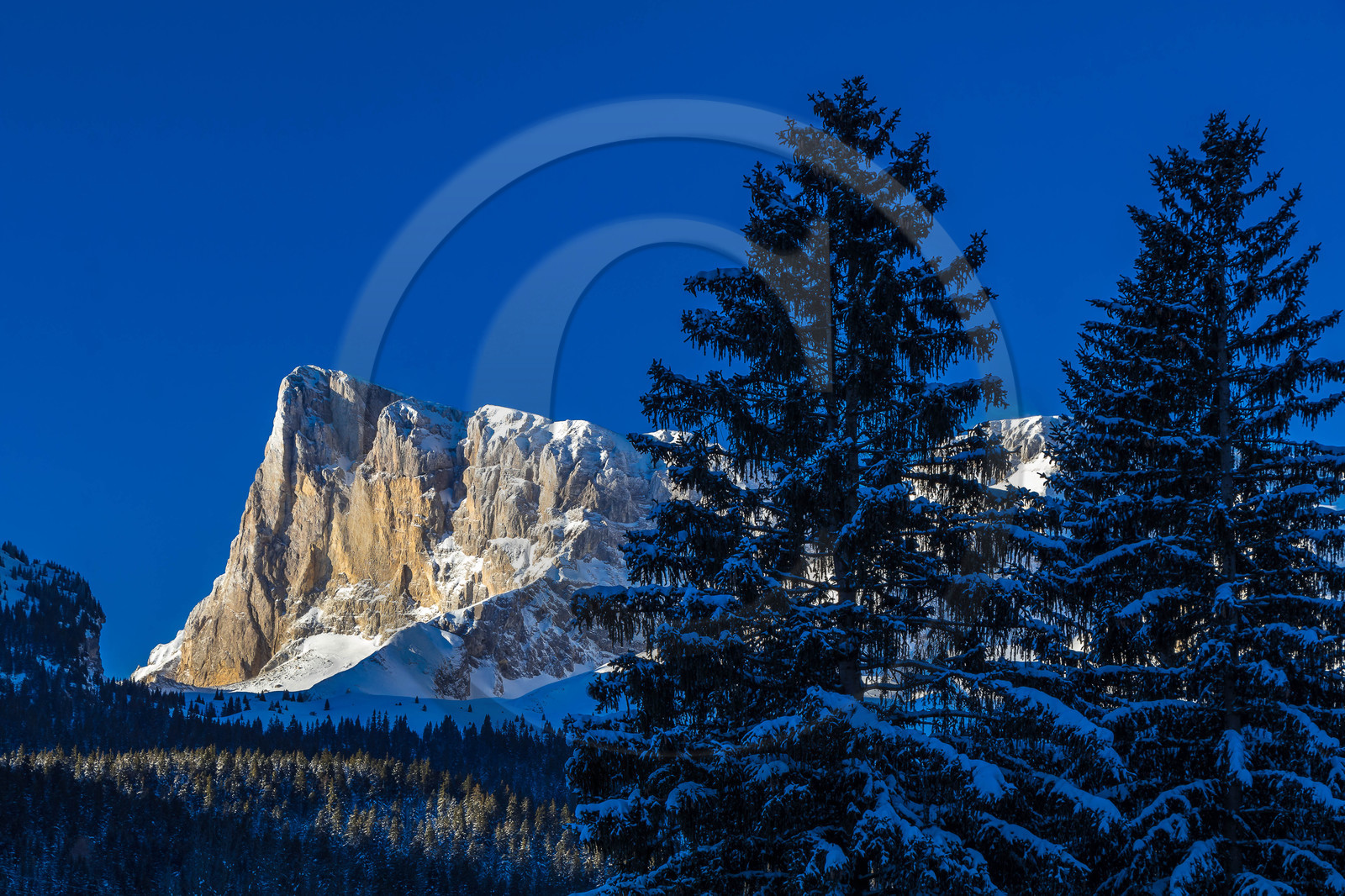 Dévoluy, Pic de Bure