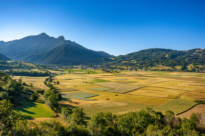 Ancelle