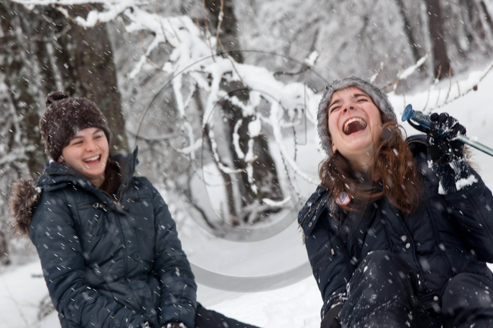 Randonnée, balade en raquettes à neige