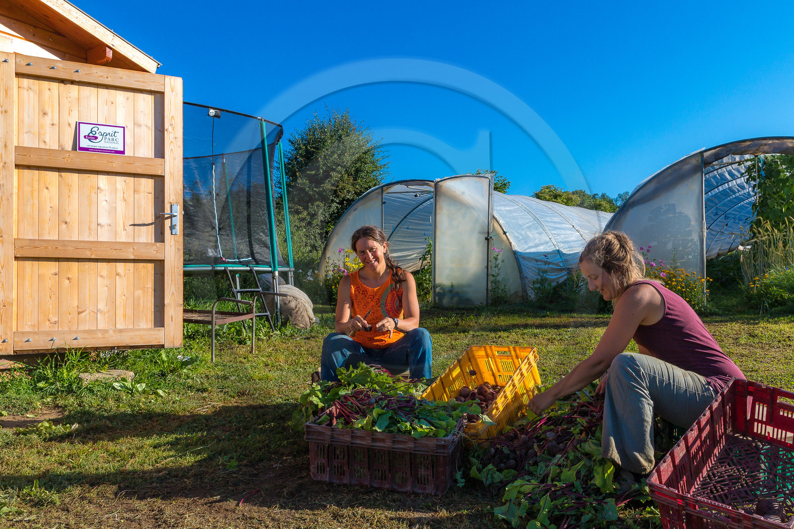LéguMontagne, Sylvie Jaussaud et  Bertille Gieu, Maraîchères bio